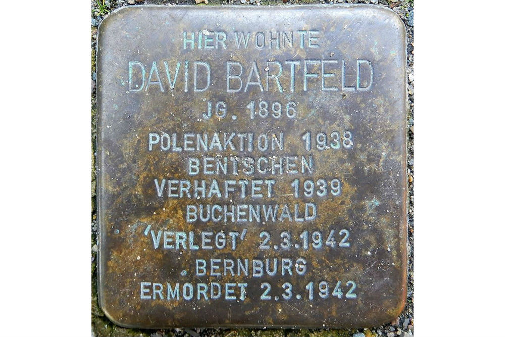 Stolperstein Steinstraße 23
