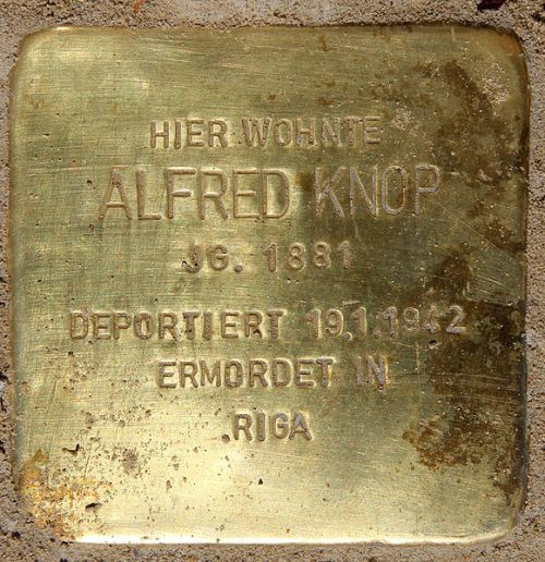 Stolpersteine Trautenaustrae 9