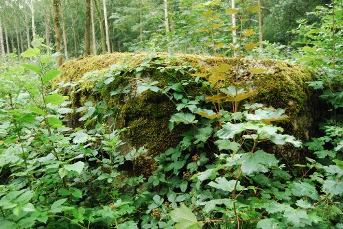 British Bunker Ploegsteert Wood