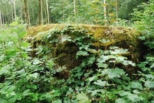 Britse Bunker Bos van Ploegsteert #1