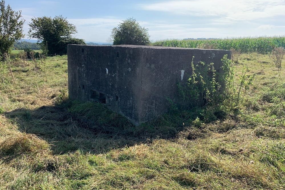 Bunker O - Position Avancée Hombourg #2