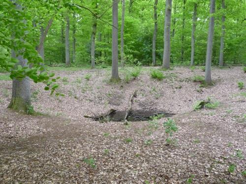 Bomb-crater Oud Groevenbeek #3