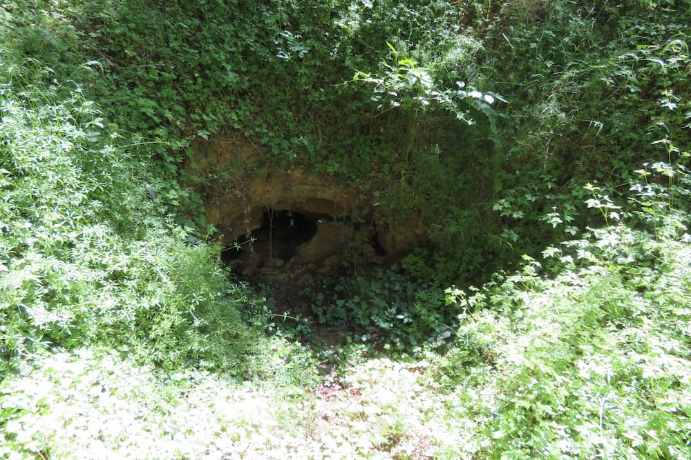 Forest de Wallieux Soyécourt #5