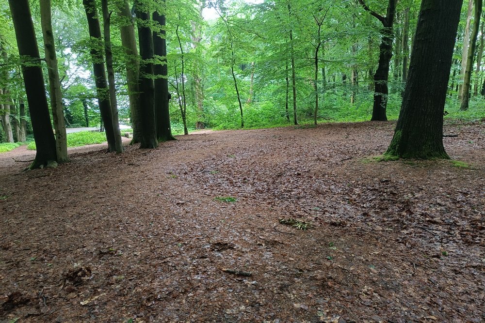 Grebbe Line - Trench 