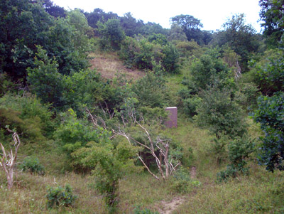 Monument Executies Zuid-Kennemerland #2