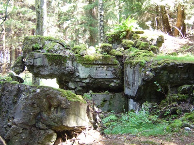 Bunker Nr. 107 op Ochsenkopf #4