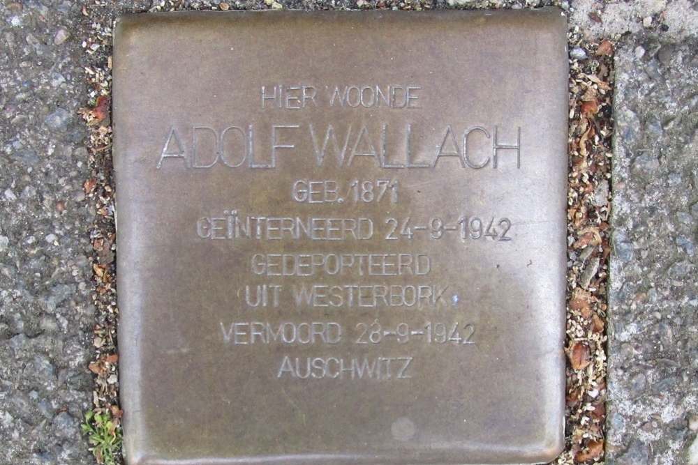 Stolperstein Albrecht Drerstraat 39 #1