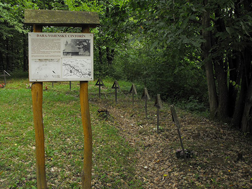 Austro-Hungarian War Cemetery Dara