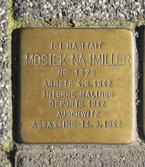 Stolpersteine Brogniezstraat 114 #2