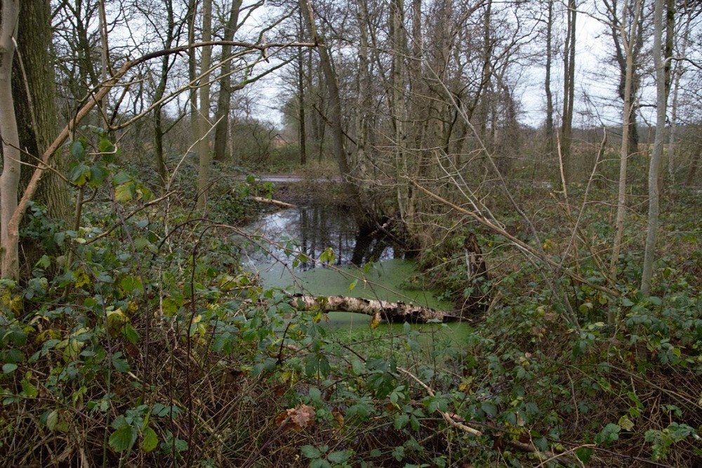 Remains German Anti-tank Ditch Schipborg #5