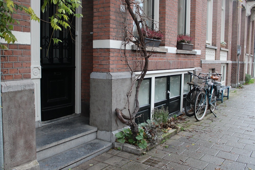 Stumbling Stones Ruyschstraat 27 #4