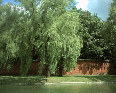 Vesting Warschau - Citadel van Warschau