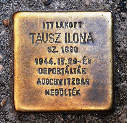 Stolperstein Kirly t 15 #1