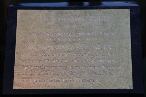 Memorial Tree Sir James Cleminson KBE, MC #3
