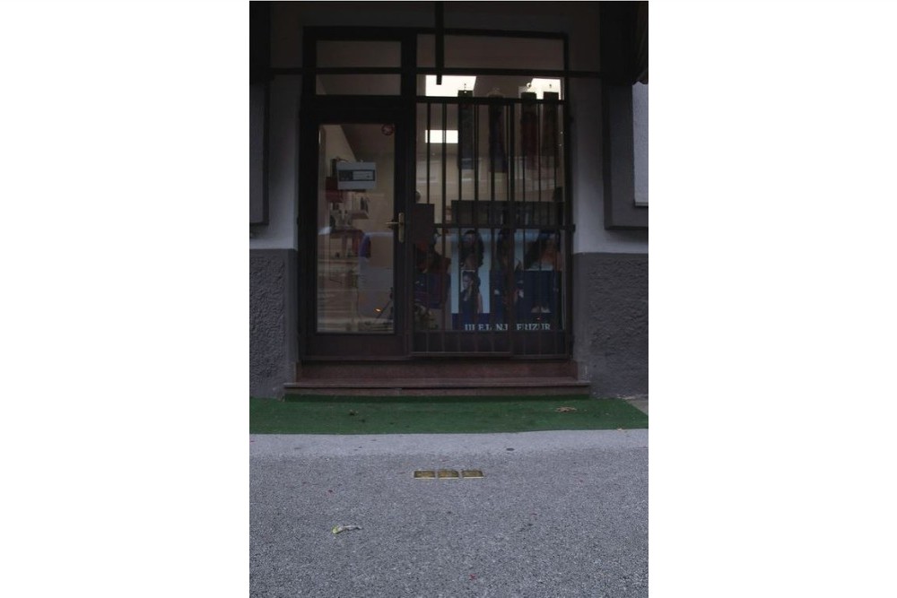 Stolpersteine Celovška cesta 44 #2