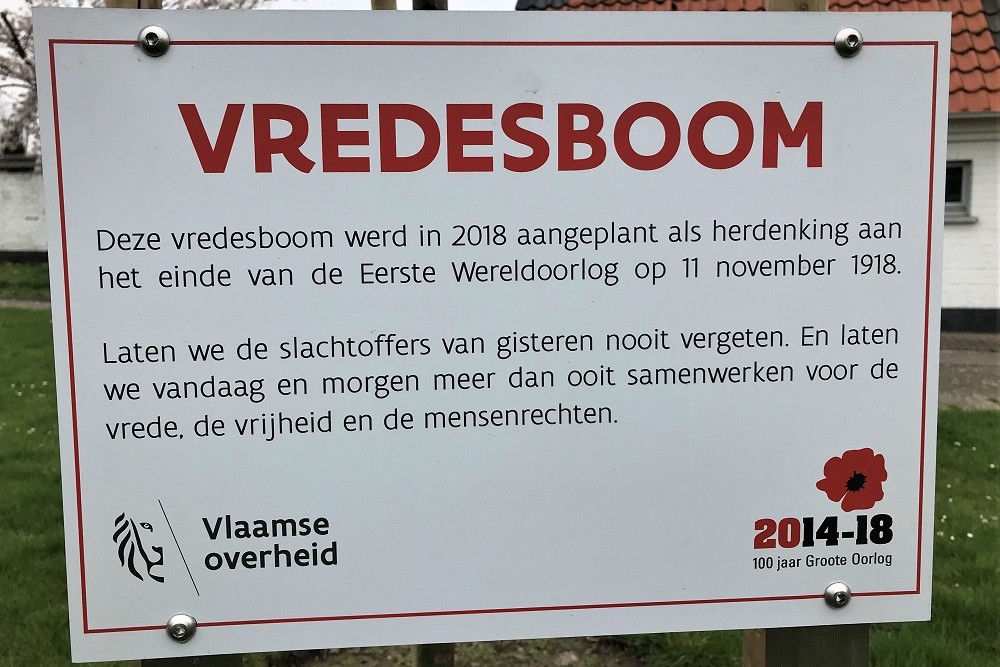 Vredesboom Lede #2