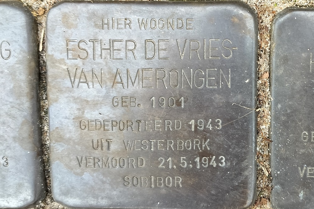 Stolpersteine Hoge Larenseweg 170 #3