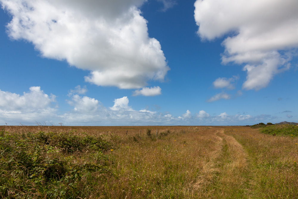 Former Airfield St Davids #4