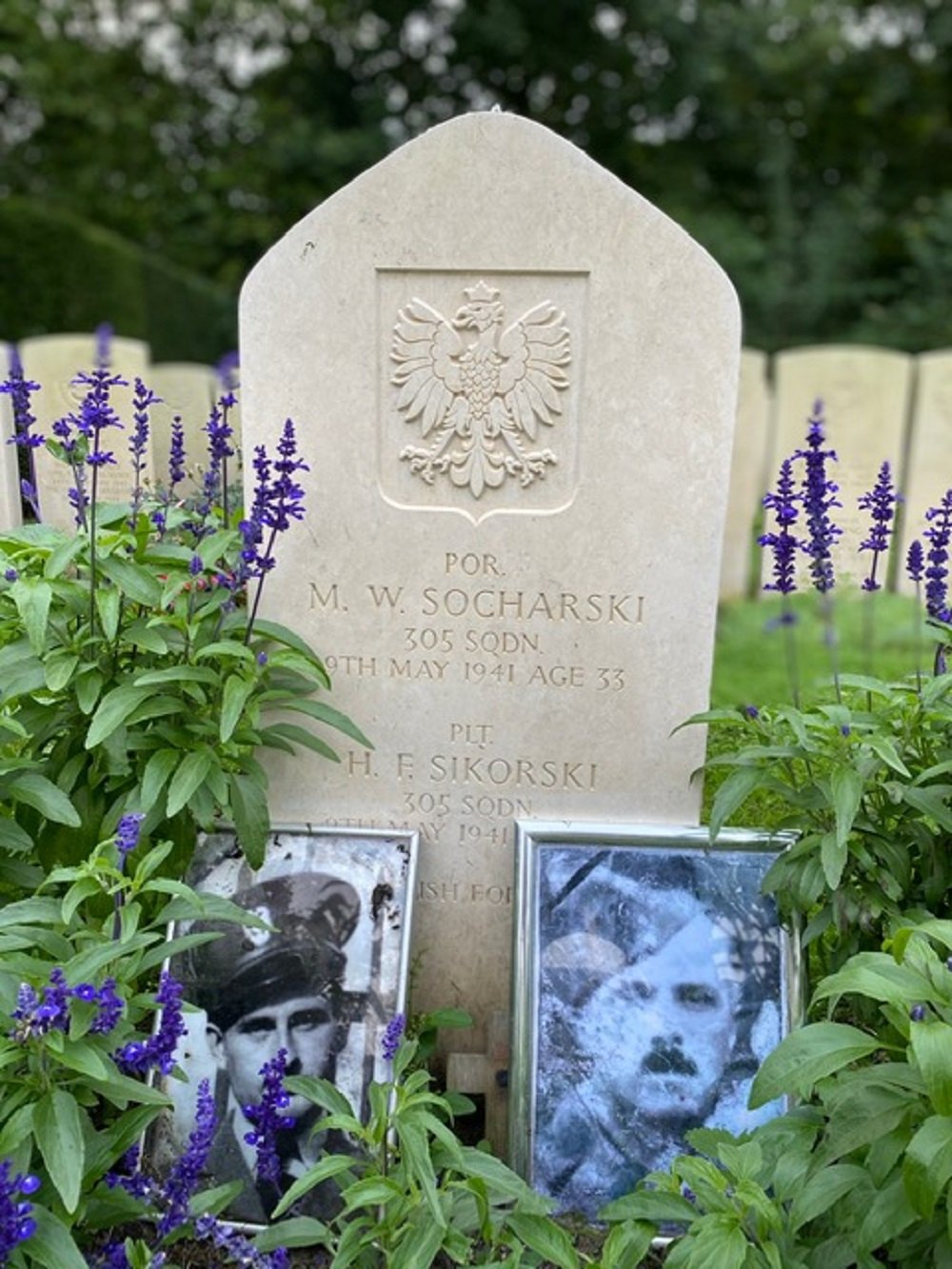 Commonwealth War Graves New Eastern Cemetery Amsterdam #5