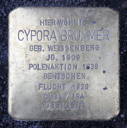 Stolpersteine Linienstraße 13 #2