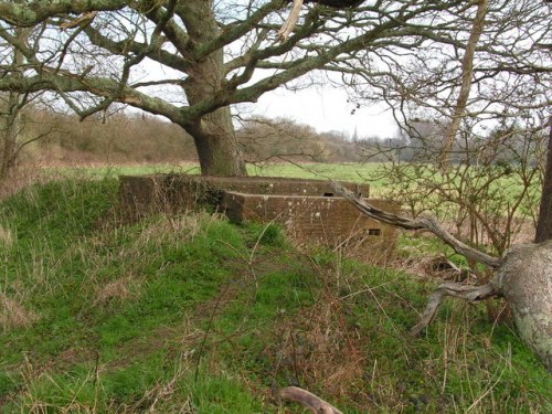 Pillbox FW3/22 Salehurst #1