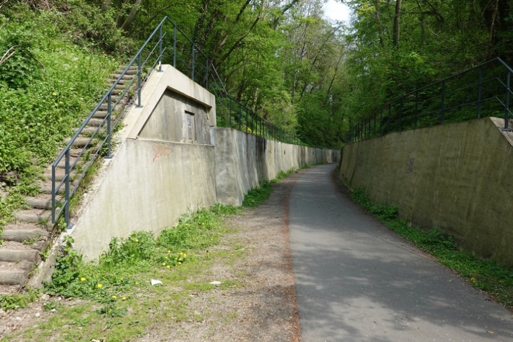 Tunnel van Laschet #1