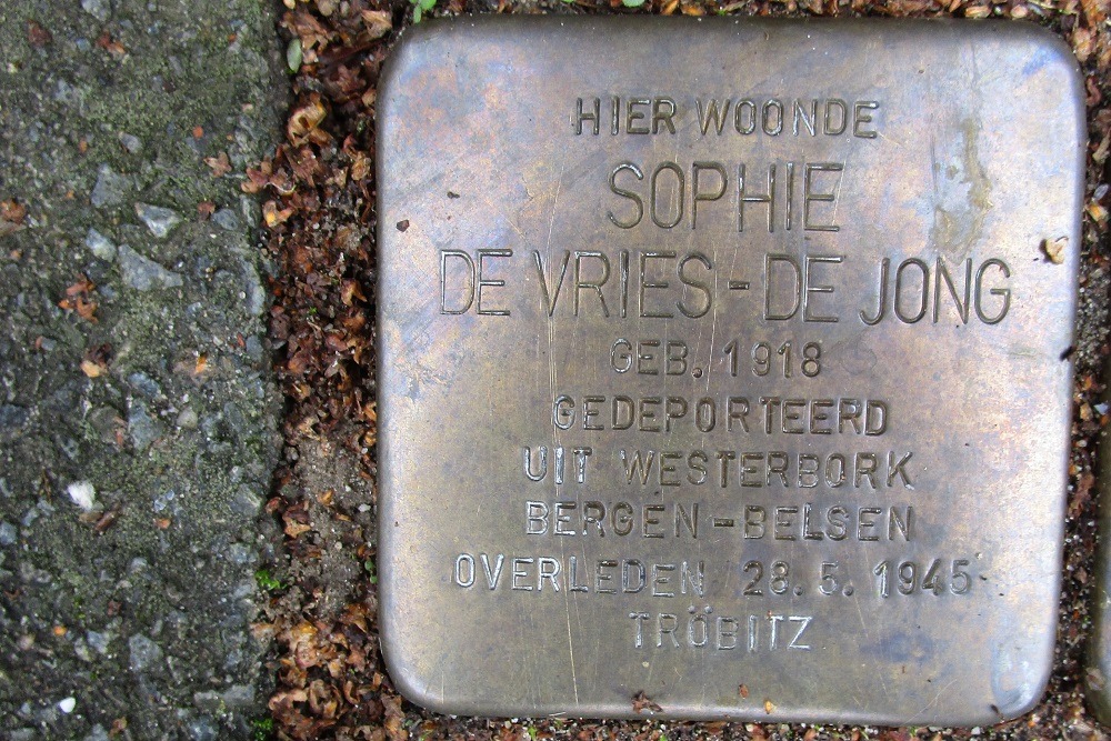 Stolpersteine Molirelaan 8 #3