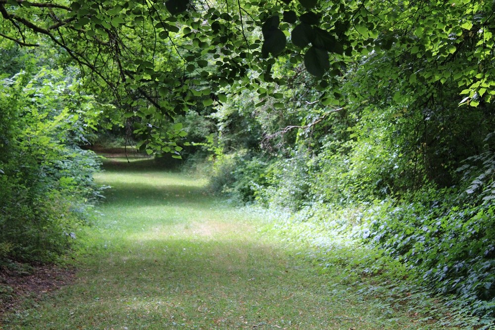 Former Village Remenauville #3