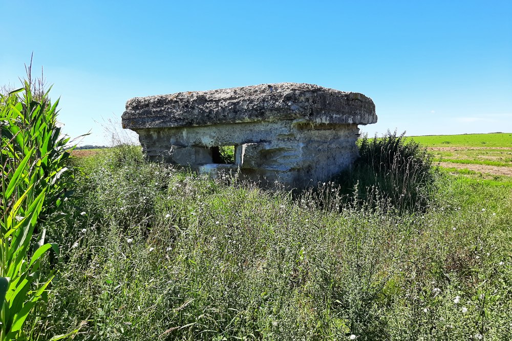 British Observation Post Bunkers Auchonvillers #1
