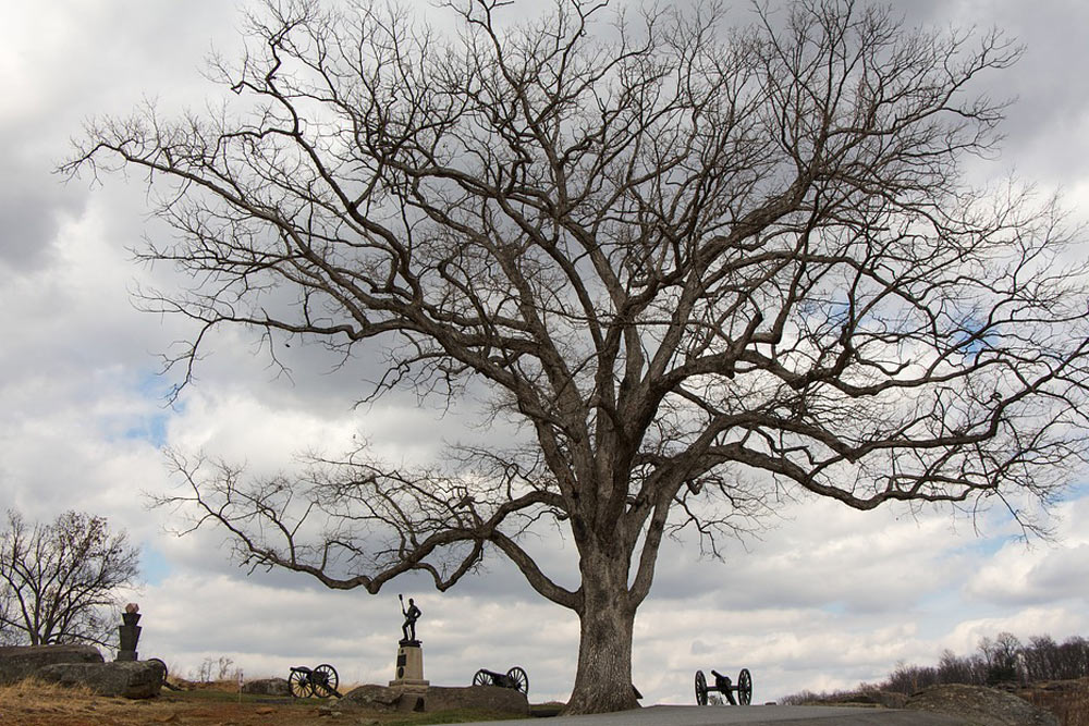 Gettysburg National Military Park #4