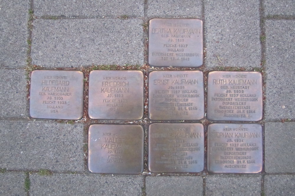 Stumbling Stones Stadtwaldgürtel 65-67 #1