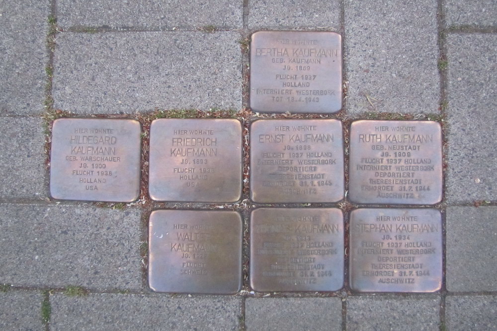 Stolpersteine Stadtwaldgrtel 65-67 #1