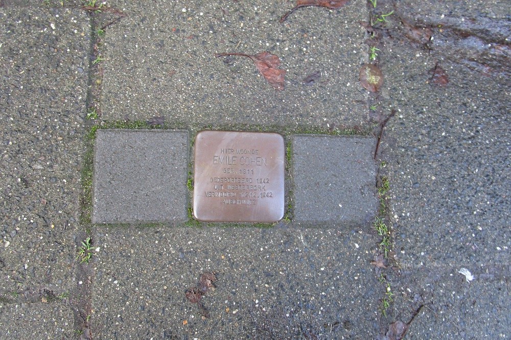 Stolperstein Heemskerckstraat 20 #2