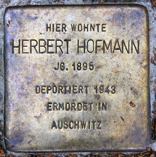 Stumbling Stones Dorotheastraße 28