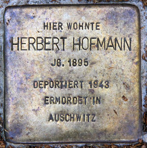 Stolpersteine Dorotheastrae 28 #1