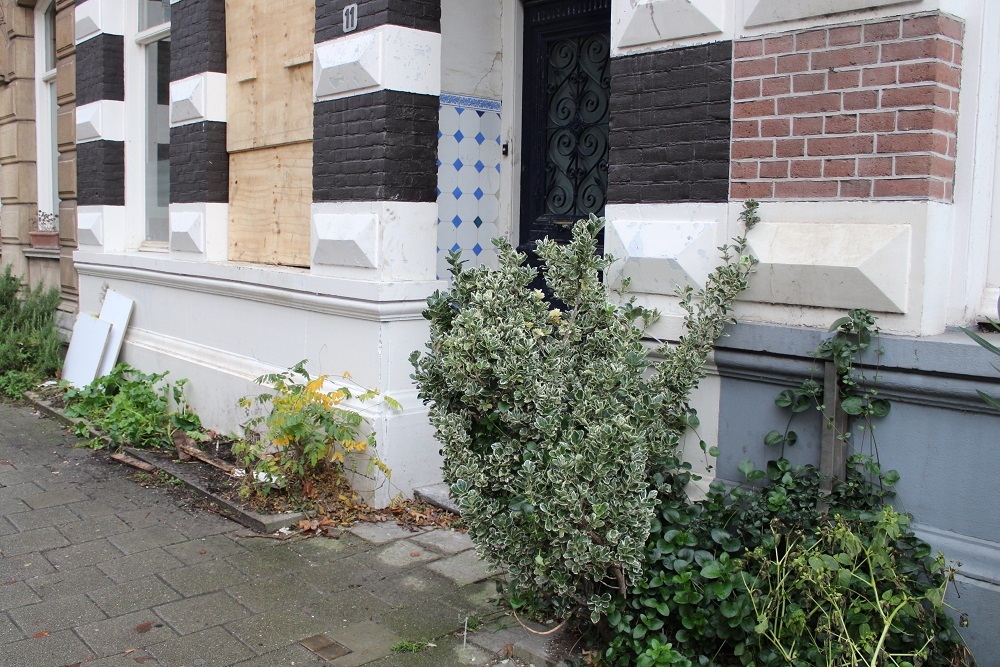 Stolpersteine Ruyschstraat 11 #4