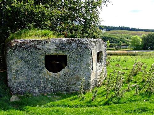 Bunker FW3/24 Lairg #1