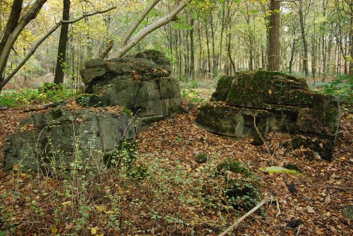 Remains German Bunker Groeneburg Wood