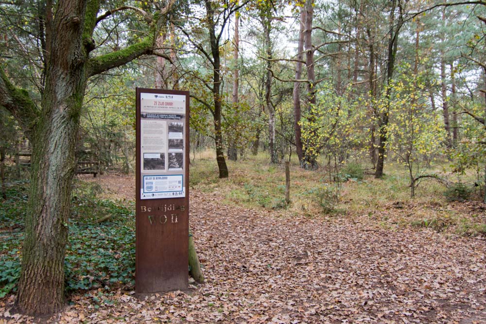 Info board 75 Years Liberation WWII Oud-Turnhout #4