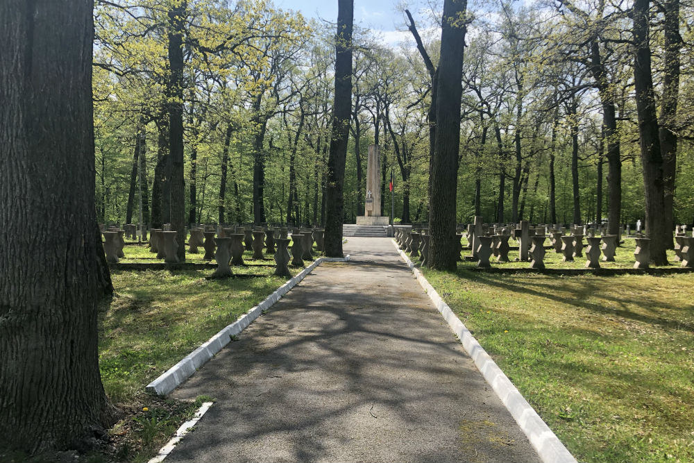 German-Romanian War Cemetery Sibiu #2