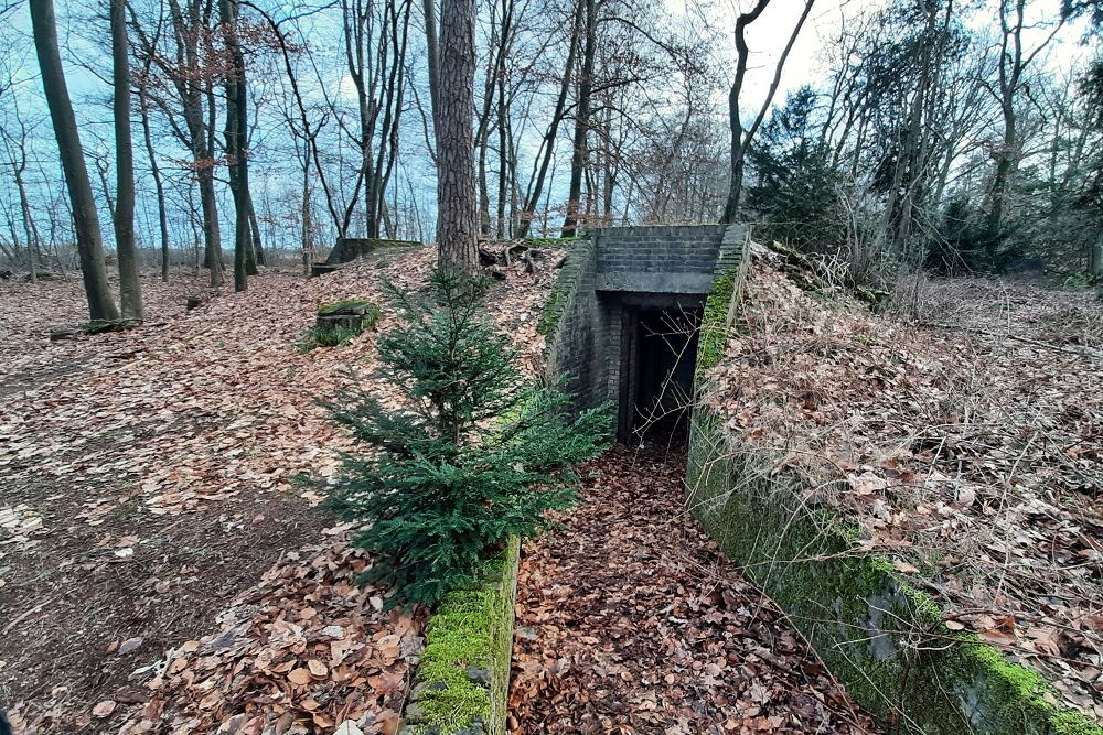 Ruine Villa Boschhoeve Wolfheze #4