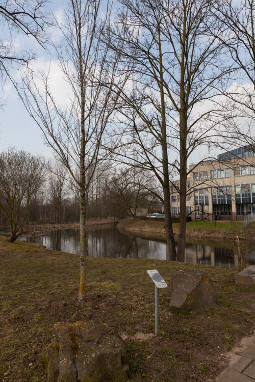 Peace Tree Roermond #3