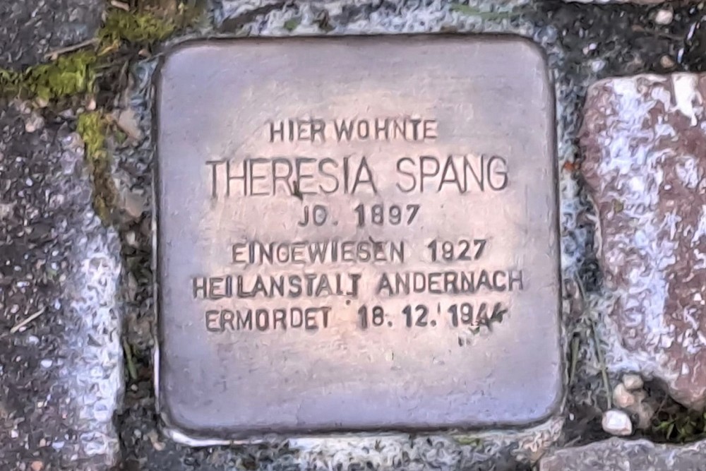 Stolperstein Neuerburger Strae 66 #1