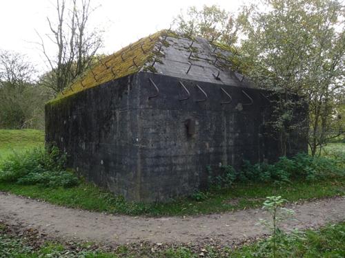 Group Shelter Type P Vossegatsedijk #4