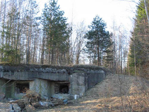 Stalin Line - Artillery Casemate Elizavetinka