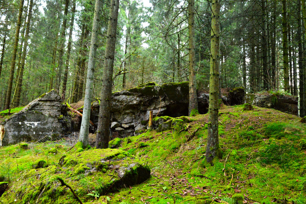 Bunker 221 Westwall Wahlerscheid