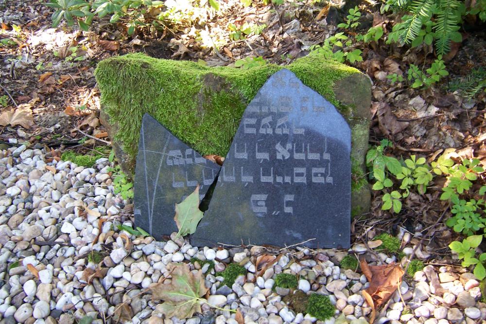 Joodse begraafplaats Svitavy #4