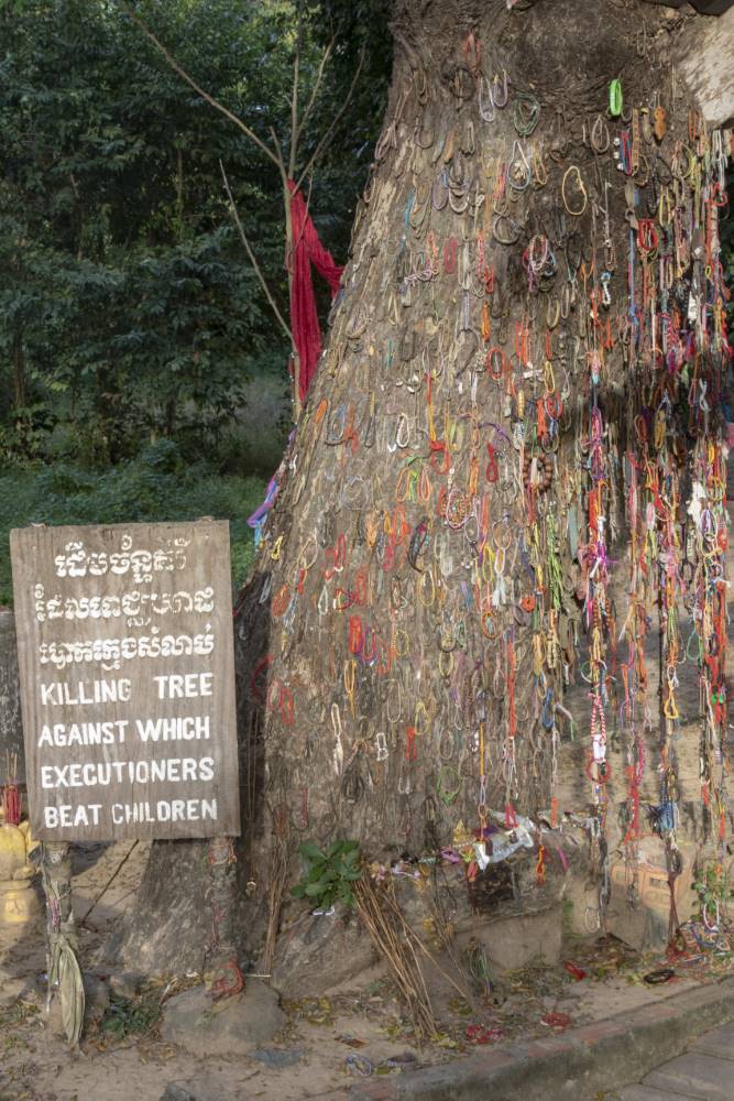 Killing Tree on Choeng EK