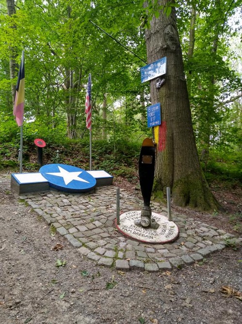 Monument Schuilplaats Bemanningsleden Gecrashte B-17 #42-343 Werm #2