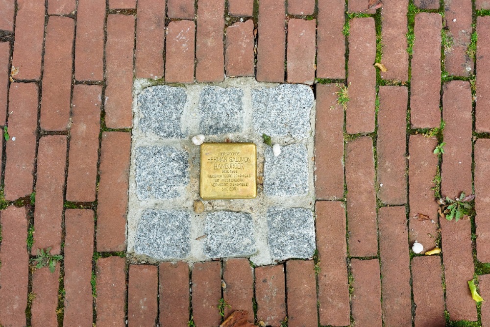 Tumbling Stone Bogen 63 #2